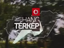 Aranyat nyert a Vodafone a MIDEM-en