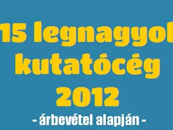 Piackutatók árbevétele és nyereségessége