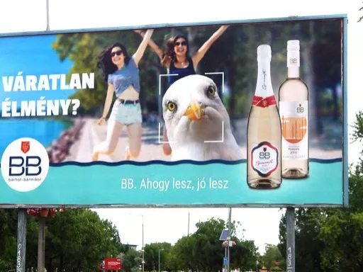 Állatok photobombingolnak a BB nyári kampányában