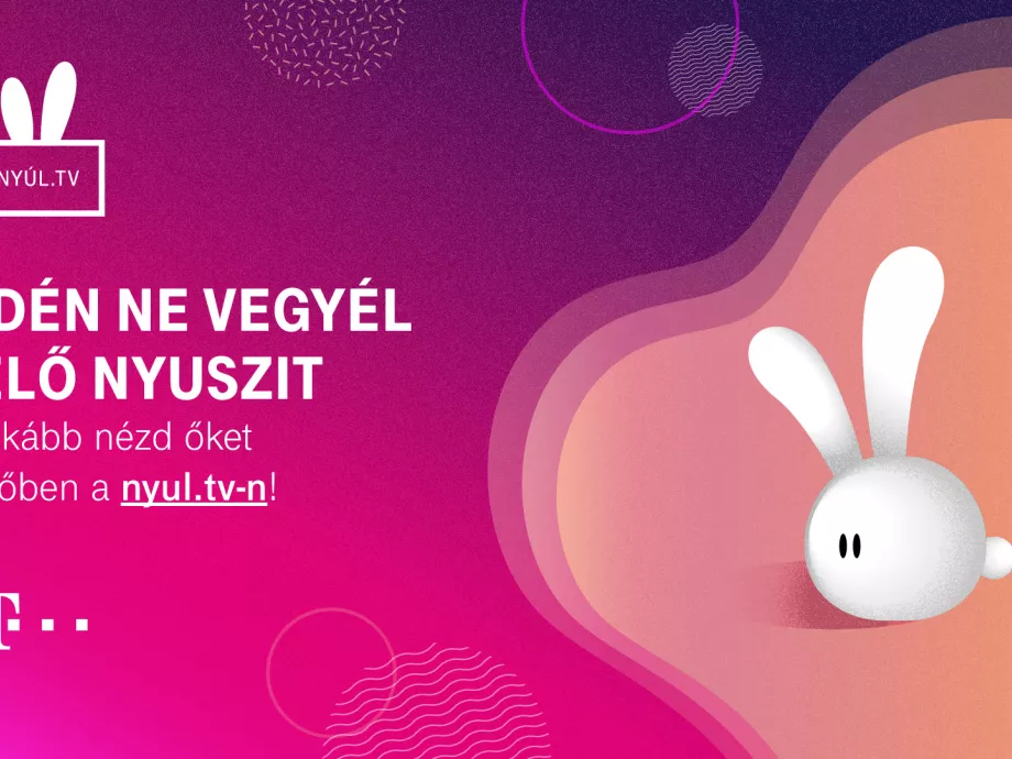 Kiskunhalasnyi ember nézte az élő streamet a húsvéti nyulakról
