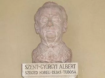 A tudós esete a híres szegedi paprikával