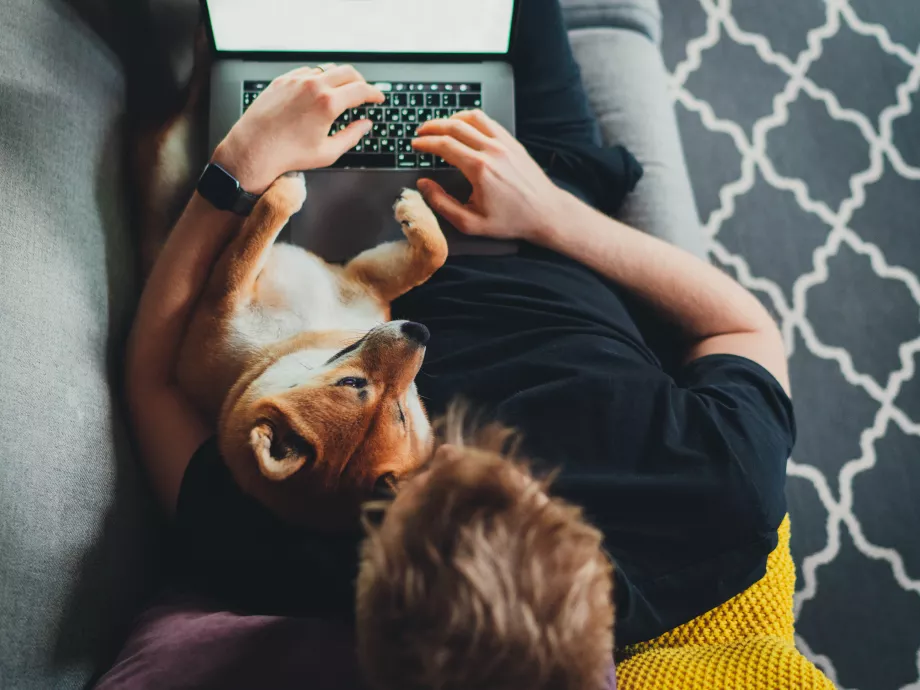Jellemzően pesszimista, Facebookon lóg és nem tudatos a pénzügyeivel a magyar fogyasztó
