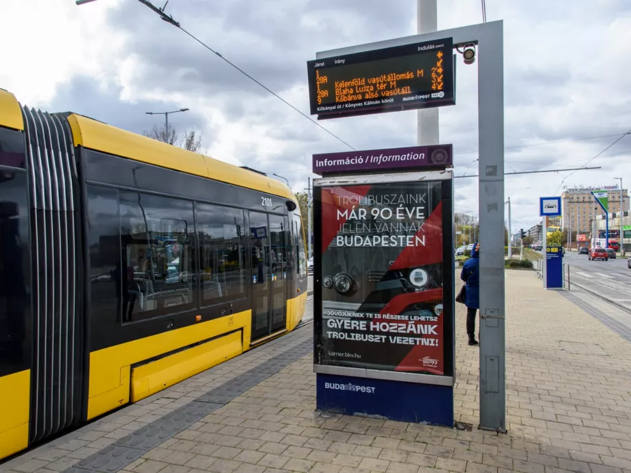 Szigorítják a hirdetések közterületi kihelyezéseit, reklámkataszterbe veszik a reklámeszközöket