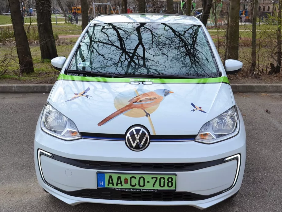 Greengózzunk védett madaraink érdekében