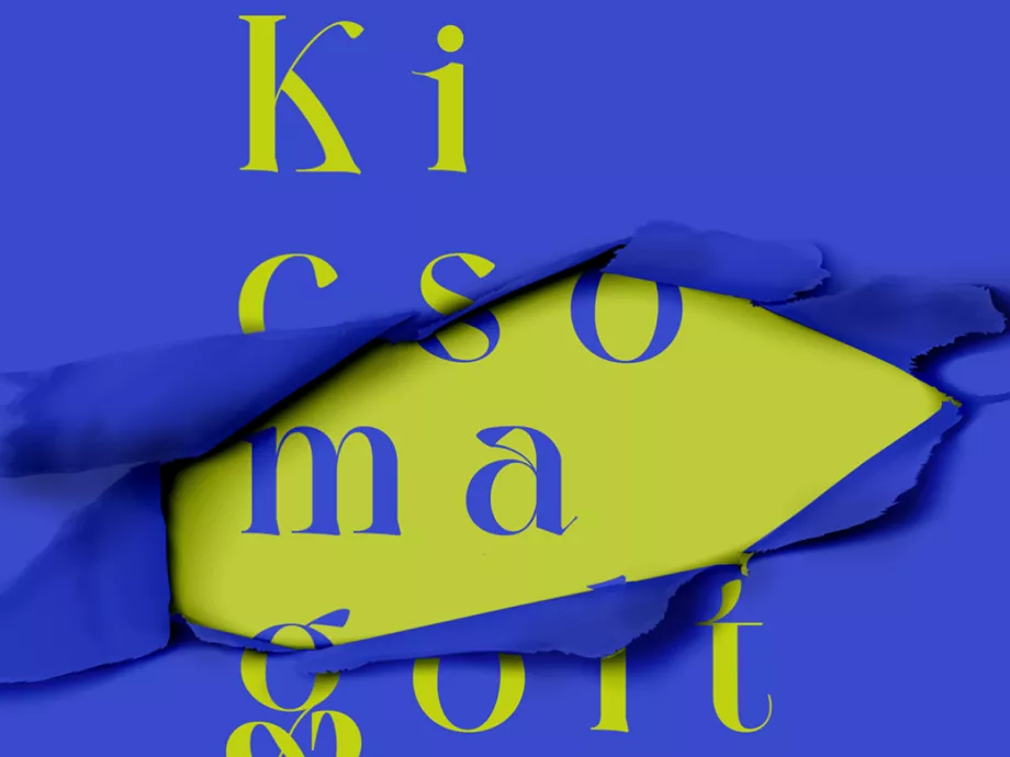 A Líra és a VML közös projektje újabb cannes-i shortlistet ér
