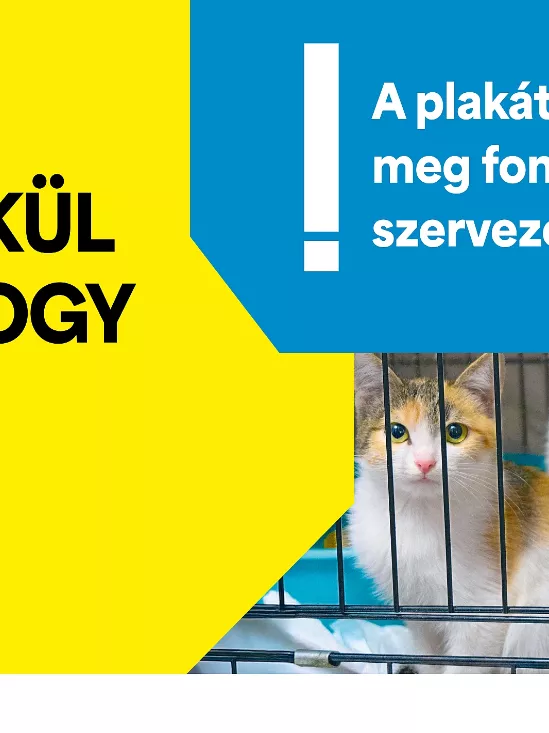 MRSZ kampány és javaslat: kevesebb vizuális terhelés és politikamentesség a közterületi reklámoknál