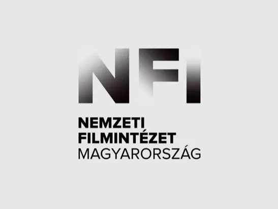 Kiírták a pályázatot a Nemzeti Filmintézet vezérigazgatói posztjára