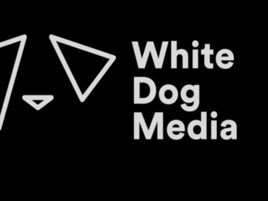 Létszámleépítés a WhiteDognál